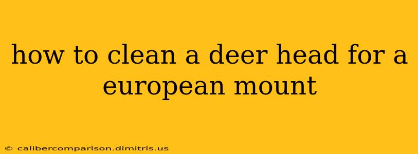 how to clean a deer head for a european mount