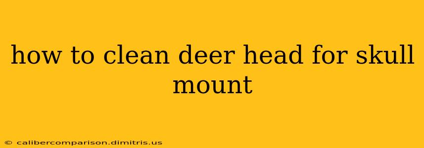 how to clean deer head for skull mount