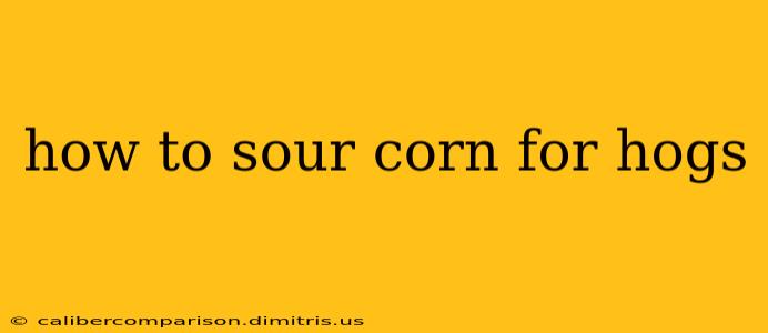 how to sour corn for hogs