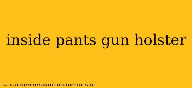 inside pants gun holster