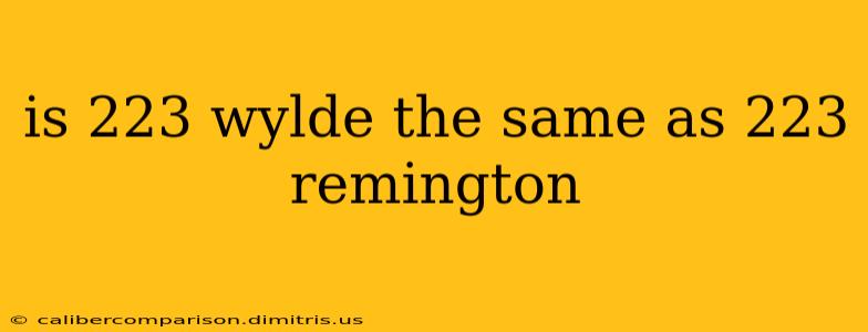 is 223 wylde the same as 223 remington