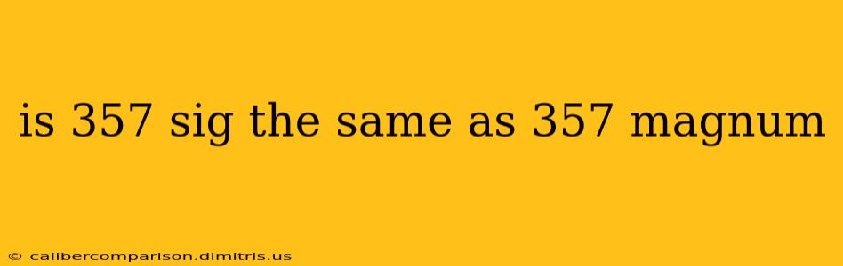 is 357 sig the same as 357 magnum