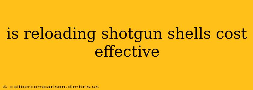 is reloading shotgun shells cost effective