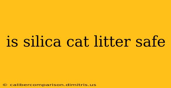 is silica cat litter safe