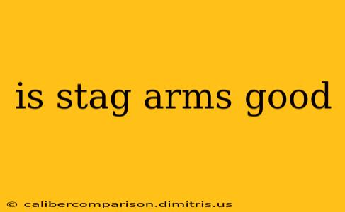 is stag arms good