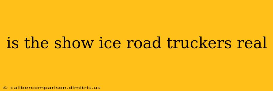 is the show ice road truckers real