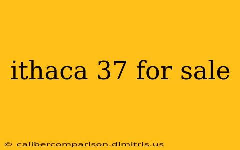 ithaca 37 for sale