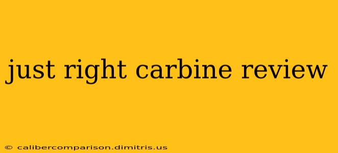 just right carbine review