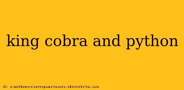 king cobra and python