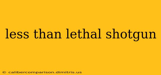 less than lethal shotgun