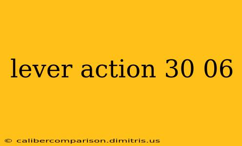 lever action 30 06