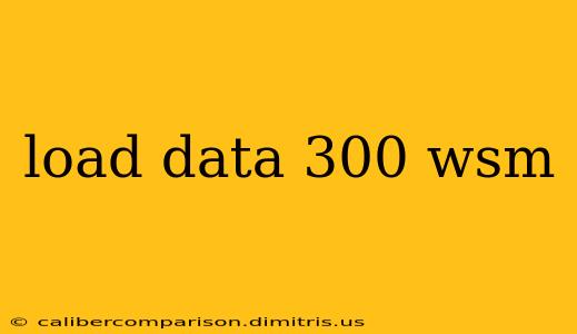 load data 300 wsm