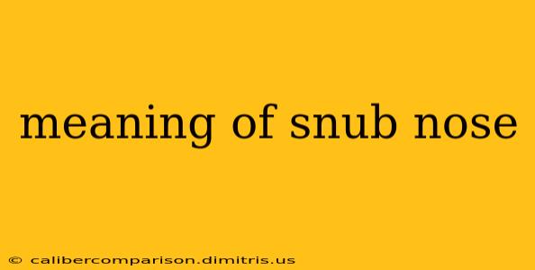 meaning of snub nose