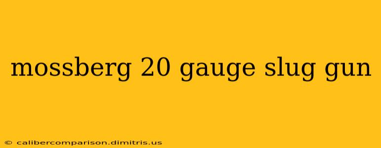 mossberg 20 gauge slug gun