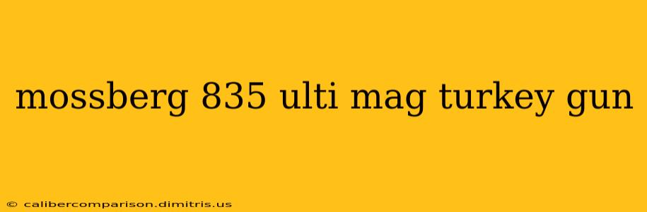 mossberg 835 ulti mag turkey gun