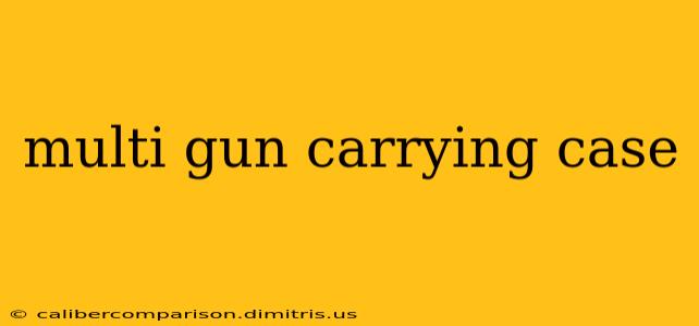 multi gun carrying case