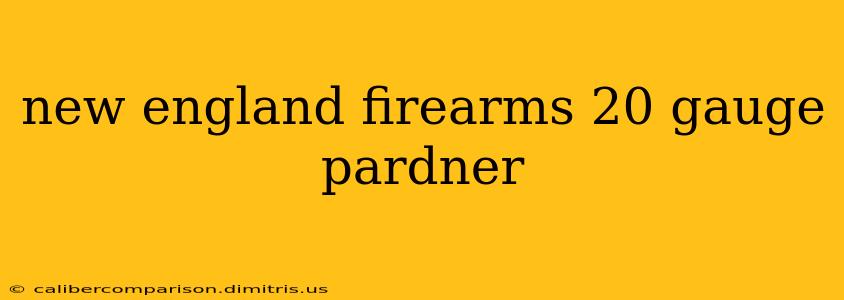 new england firearms 20 gauge pardner