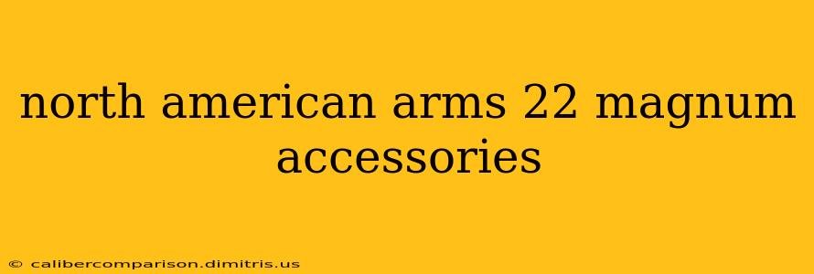 north american arms 22 magnum accessories