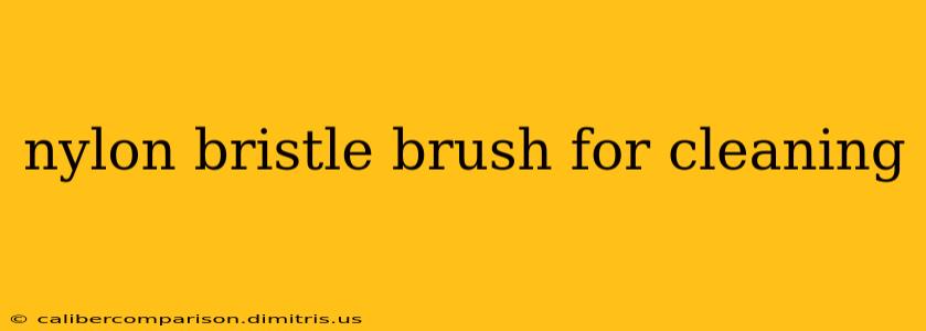 nylon bristle brush for cleaning