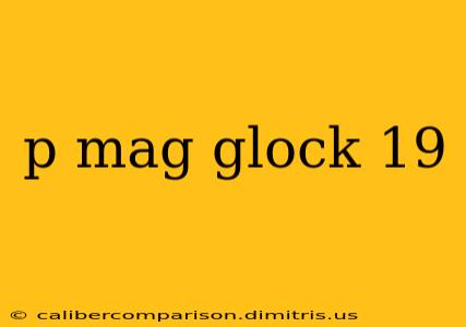 p mag glock 19