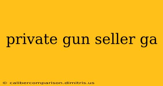 private gun seller ga