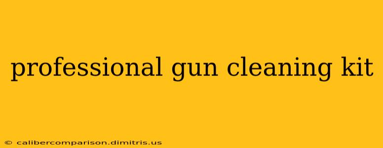 professional gun cleaning kit