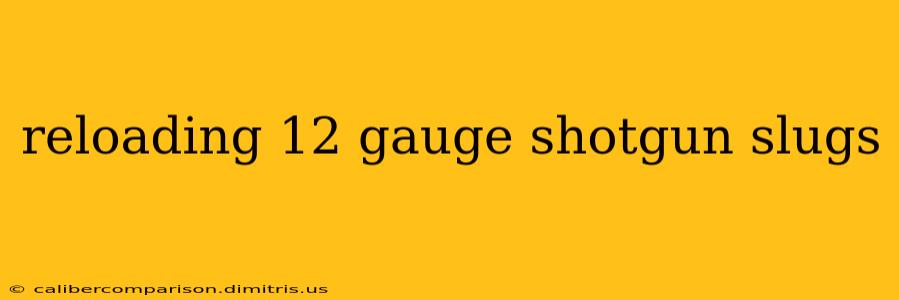 reloading 12 gauge shotgun slugs