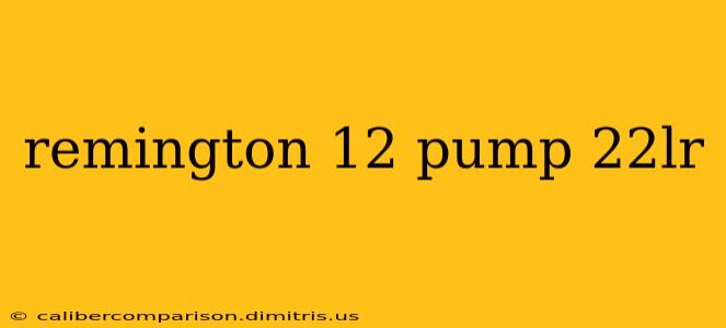 remington 12 pump 22lr