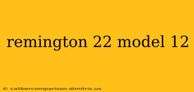 remington 22 model 12