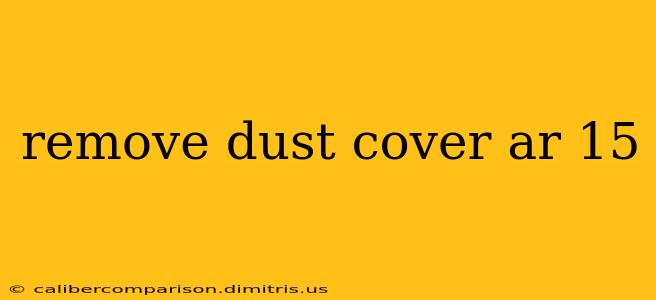 remove dust cover ar 15