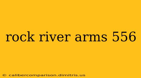 rock river arms 556