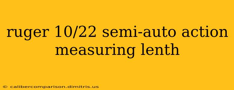 ruger 10/22 semi-auto action measuring lenth