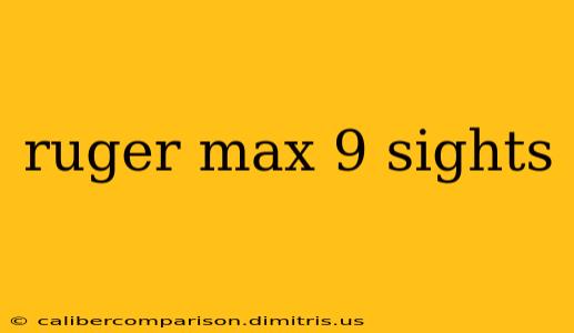 ruger max 9 sights