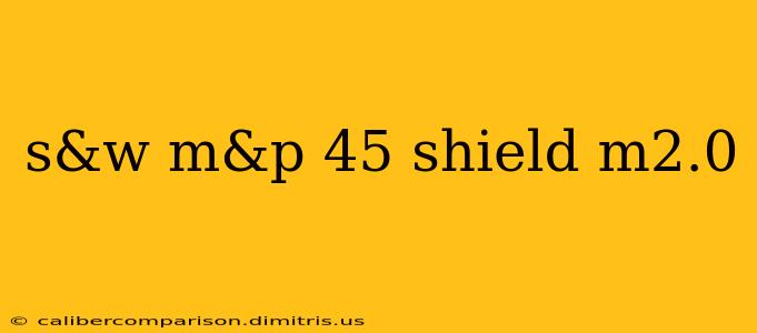 s&w m&p 45 shield m2.0