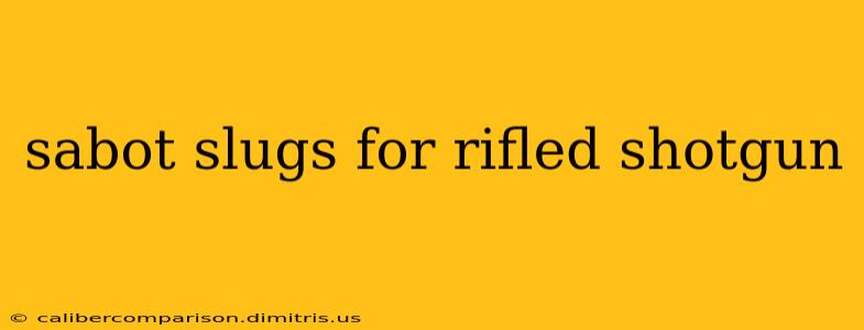 sabot slugs for rifled shotgun