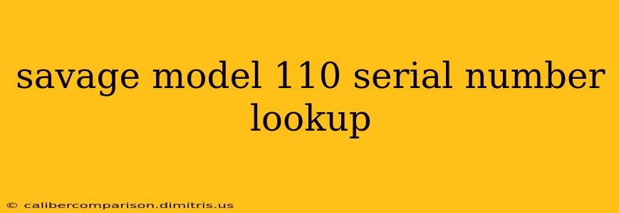 savage model 110 serial number lookup