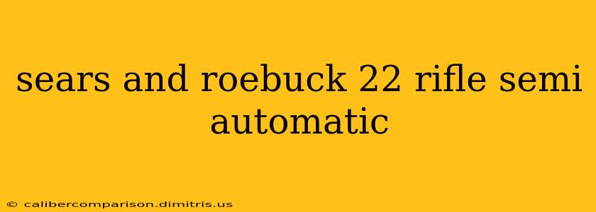 sears and roebuck 22 rifle semi automatic