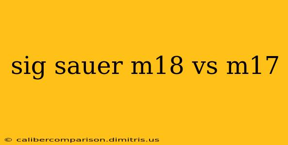 sig sauer m18 vs m17