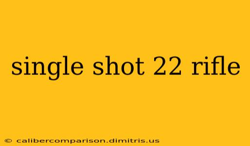 single shot 22 rifle