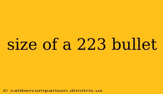 size of a 223 bullet