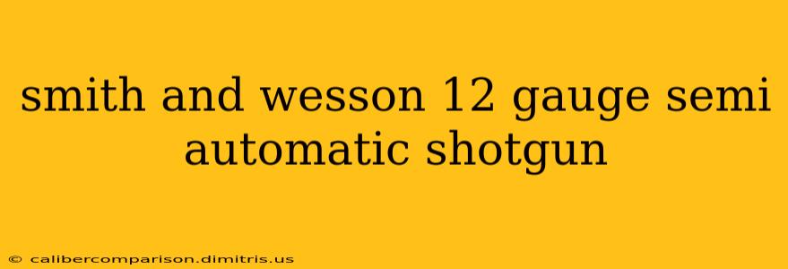 smith and wesson 12 gauge semi automatic shotgun