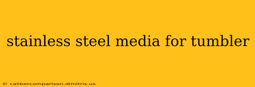 stainless steel media for tumbler