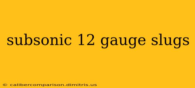 subsonic 12 gauge slugs