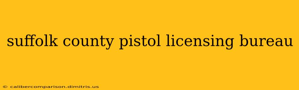 suffolk county pistol licensing bureau