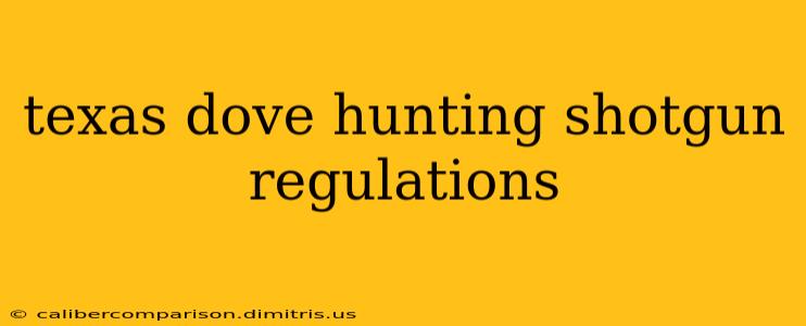 texas dove hunting shotgun regulations