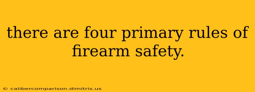 there are four primary rules of firearm safety.