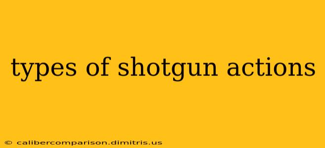 types of shotgun actions