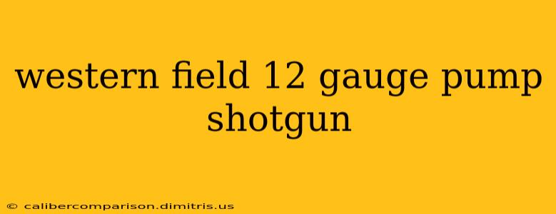 western field 12 gauge pump shotgun