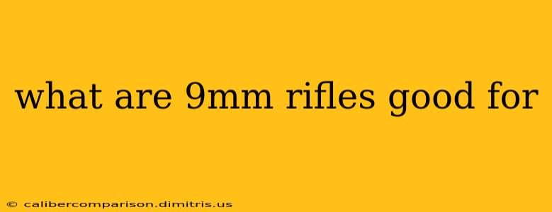 what are 9mm rifles good for