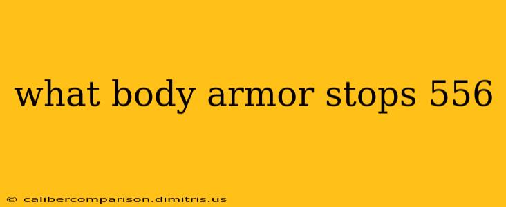 what body armor stops 556